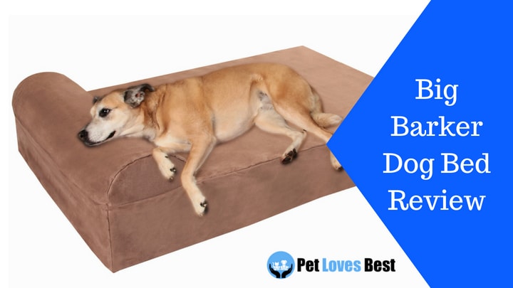 Featured Image Big Barker Dog Bed Review