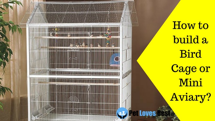 Featured Image How to build a Bird Cage or Mini Aviary