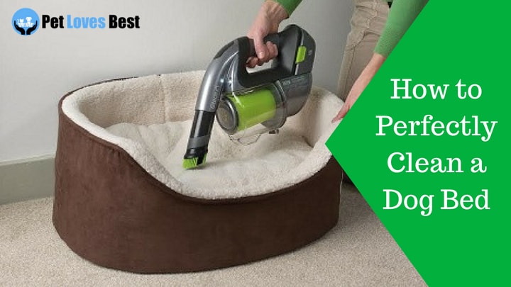 Featured Image How to Perfectly Clean a Dog Bed