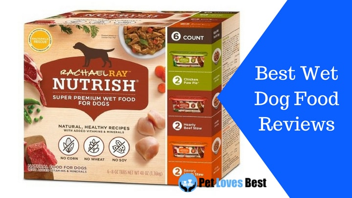 Featured Image Best Wet Dog Food Reviews