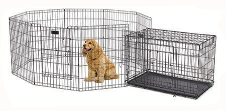dog crate for separation anxiety