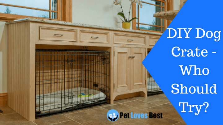 Featured Image DIY Dog Crate - Who Should Try?