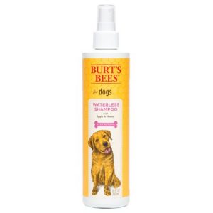 Burt's Bees Waterless Shampoo with Apple & Honey for Dogs