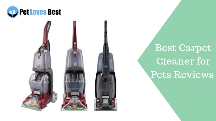 Featured Image Best Carpet Cleaner for Pets Reviews and Buyers’ Guide