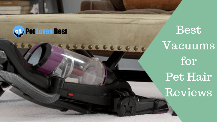 Featured Image Best Vacuums for Pet Hair Reviews