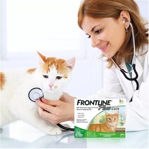 Best Flea and Tick Treatment for Cats