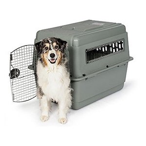best plastic dog crate available in the market
