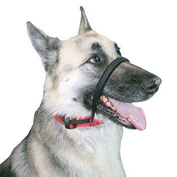 SPORN Head No Pull Dog Training Collar