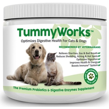 tummy works for dogs