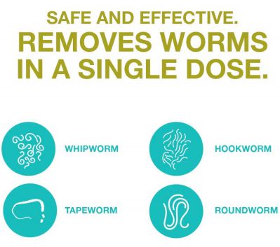 safeguard 4 canine dewormer reviews