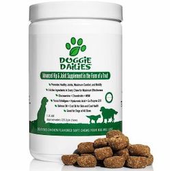 Best Glucosamine Supplements for Dogs