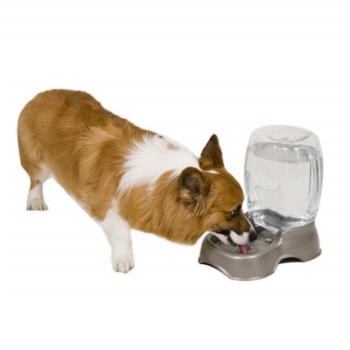 Pet Waterer for multiple cats