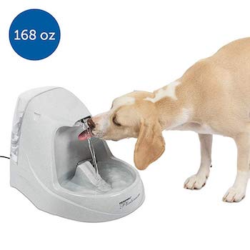 Drinkwell Platinum Automatic Water Fountain for Dogs
