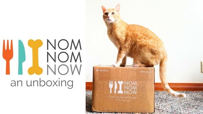 NomNomNow Reviews of Cat Food