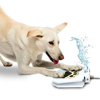 Trio Gato Step-on Outdoor Dog Water Fountain