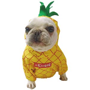 Amakunft Pineapple Pet Costume