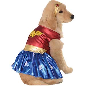 Wonder Woman Costume for Labrador