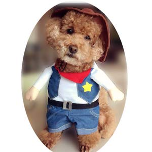 Best Halloween Costume for Small Dogs