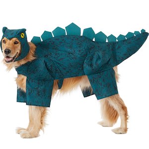 Best Large Dog Halloween Costume