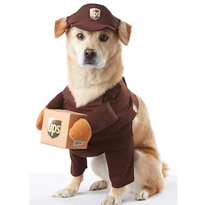 California Costume UPS Pal Dog Wear