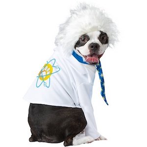 California Costumes Al-Bark Einstein Dog Costume