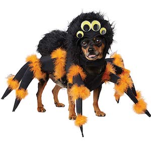 Spider Costume for Small Dogs