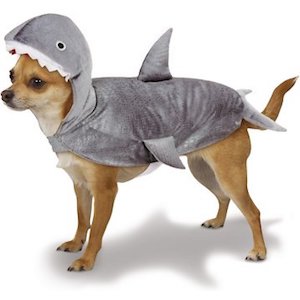Casual Canine Shark Dog Costume