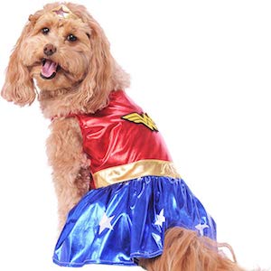 DC Comics Wonder Woman Dog Dress
