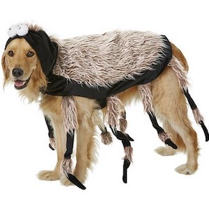 Spider Costume for Large Dogs