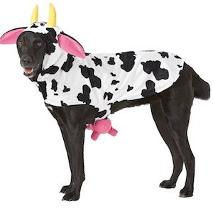 Frisco Udderly Cow Dog Outfit