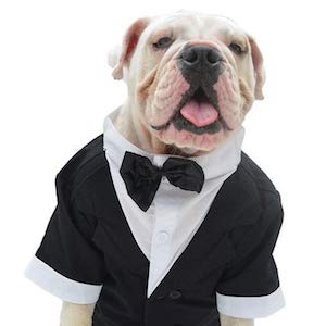 Lovelonglong Pet Costume Dog Suit Formal Tuxedo
