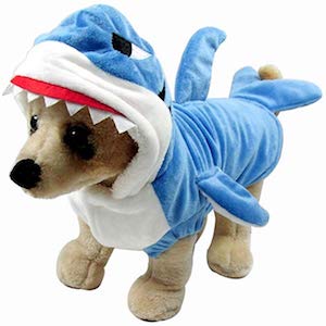 extra small dog costume