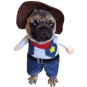 Cowboy Outfit for Dogs