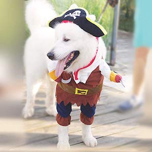 NACOCO Pirates of The Caribbean Dog Costume