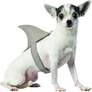 shark costume for small dogs
