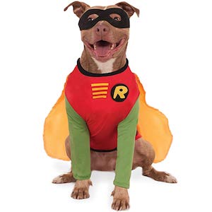 DC Comics Robin Dog Costume