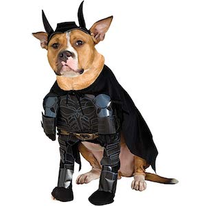 Rubie's Costume Batman The Dark Knight Rises
