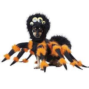 Spider Pup Costume for Dogs