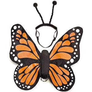 Zack & Zoey Butterfly Glow Costume for Dogs