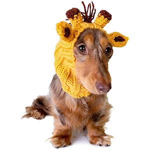 Zoo Snoods Giraffe Warmer Headband for Dogs