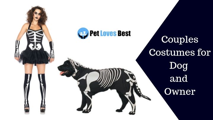 Couples Costumes for Dog and Owner Featured Image