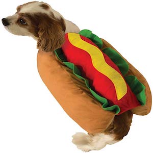 Cute Hot Dog Pet Costume Dog Cat Wiener Bun Halloween