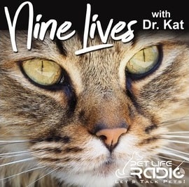 nine lives with dr. kat podcast