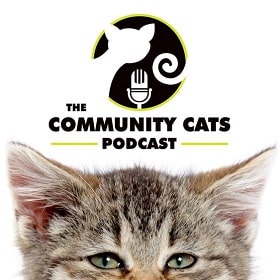 the coomunity cat podcast by stacy lebaron