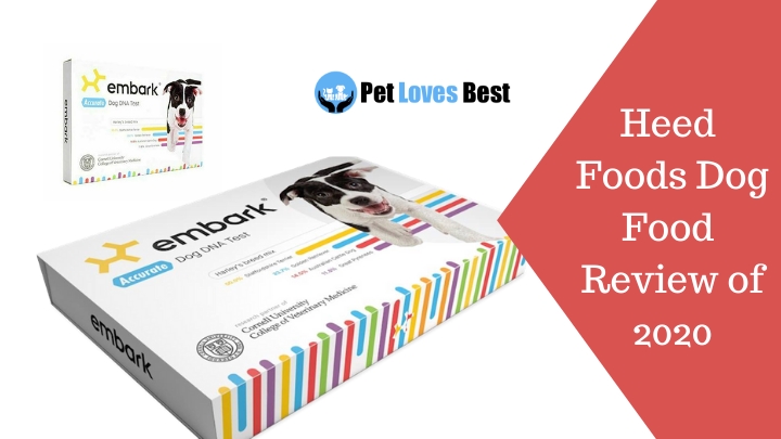 Best Dog DNA Test Reviews Featured Image