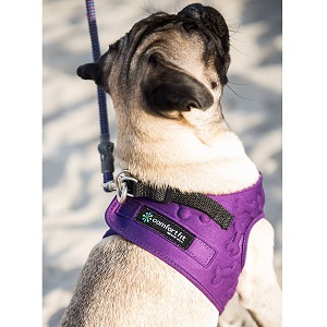Comfort Fit Metric USA Small Dog Harness