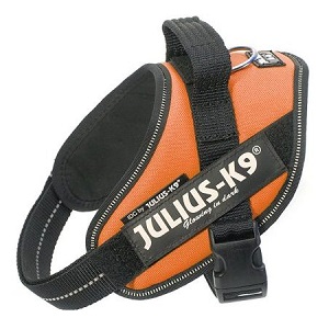 IDC Powerharness for Dogs from Julius-K9