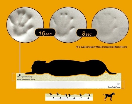 LaiFug Orthopedic Memory Foam Dog Bed foam