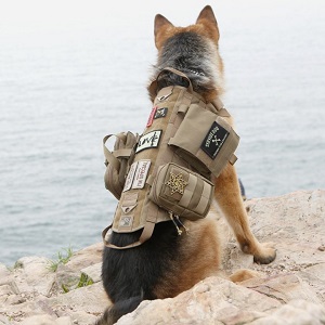 OneTigris Tactical Dog Training Vest Harness