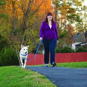 PetSafe Easy Walk Harness for walking
